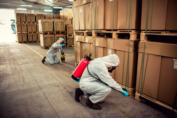 Best Termite Control Services  in Banner Hill, TN