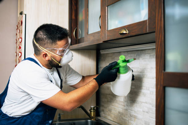  Banner Hill, TN Pest Control Pros