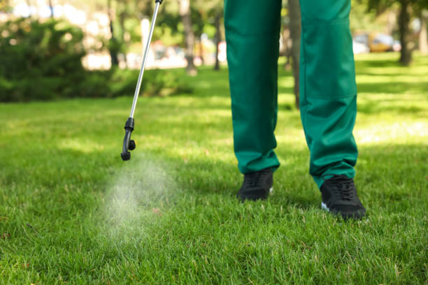 Best Pest Removal Services  in Banner Hill, TN