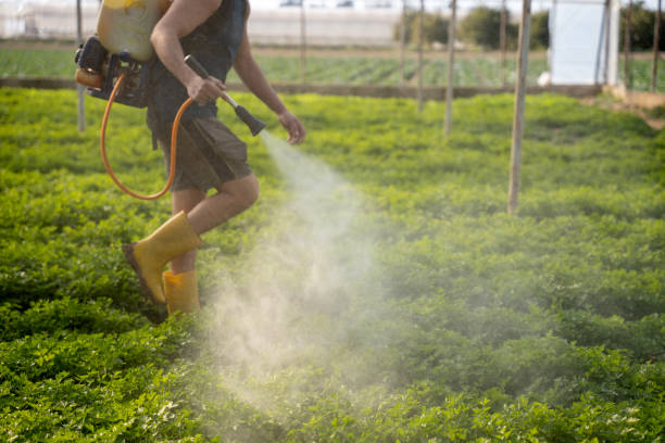 Best Pest Control for Homes  in Banner Hill, TN