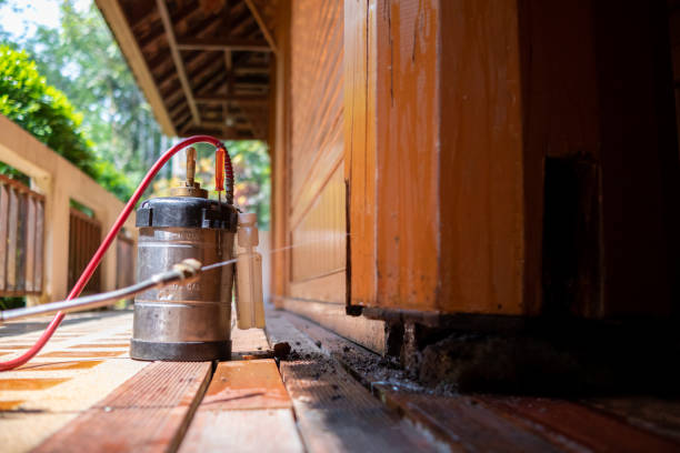 Best Best Pest Control Companies  in Banner Hill, TN