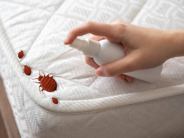 Best Commercial Pest Control Services  in Banner Hill, TN