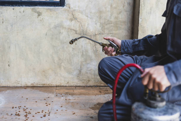 Best Best Pest Control Companies  in Banner Hill, TN